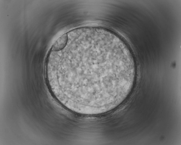 X0000115091467200912081223