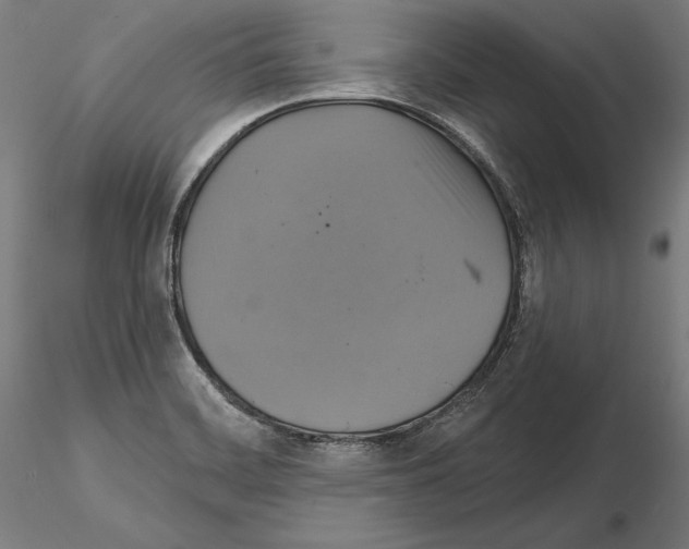 X0000115091468200912081223