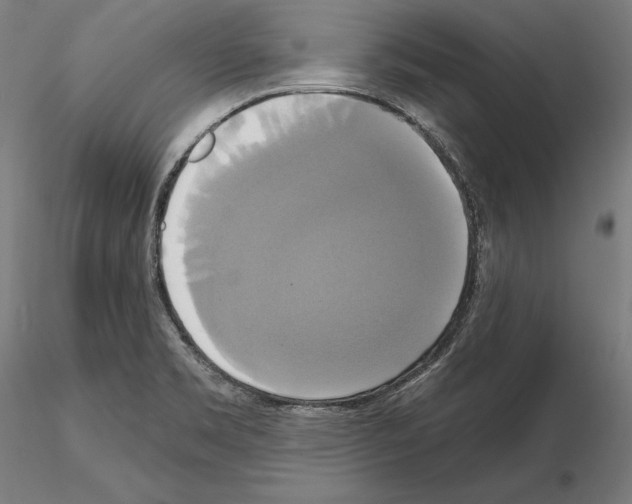 X0000115091469200912081223