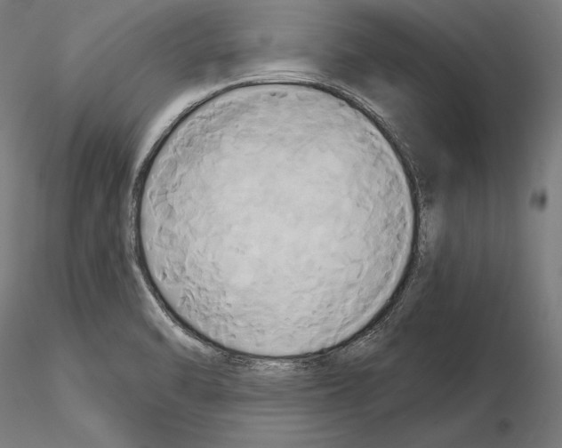 X0000115091470200912081223