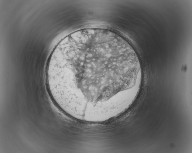 X0000115091471200912081223