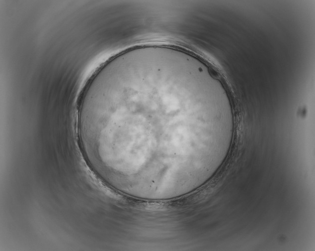 X0000115091472200912081223