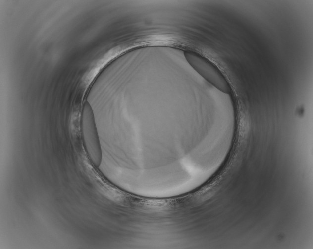 X0000115091473200912081223