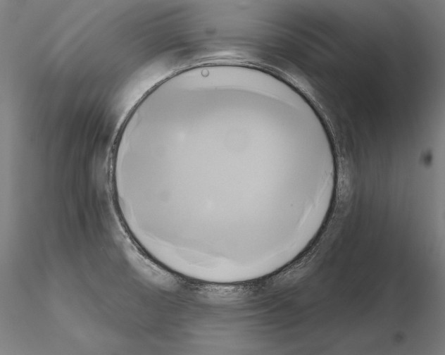 X0000115091474200912081223