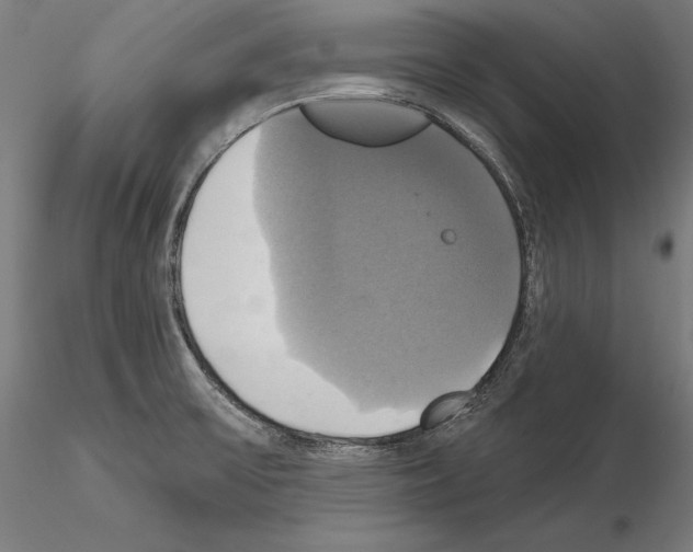 X0000115091475200912081223