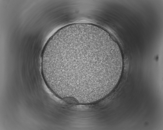 X0000115091476200912081223