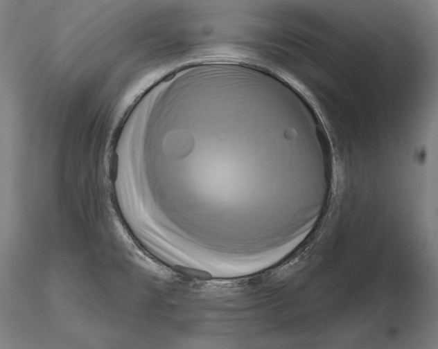 X0000115091477200912081223