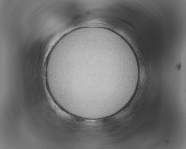 X0000115091478200912081223