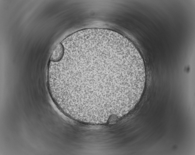 X0000115091479200912081223