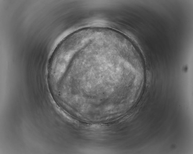 X0000115091480200912081223