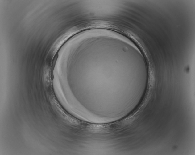 X0000115091481200912081223