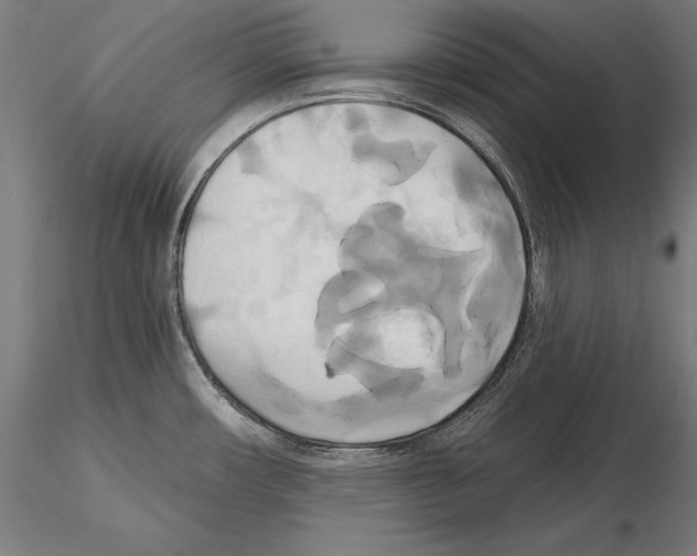 X0000115091482200912081223