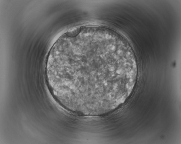 X0000115091483200912081223