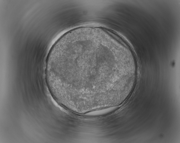 X0000115091484200912081223