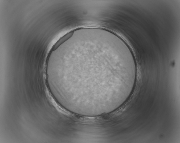 X0000115091485200912081223