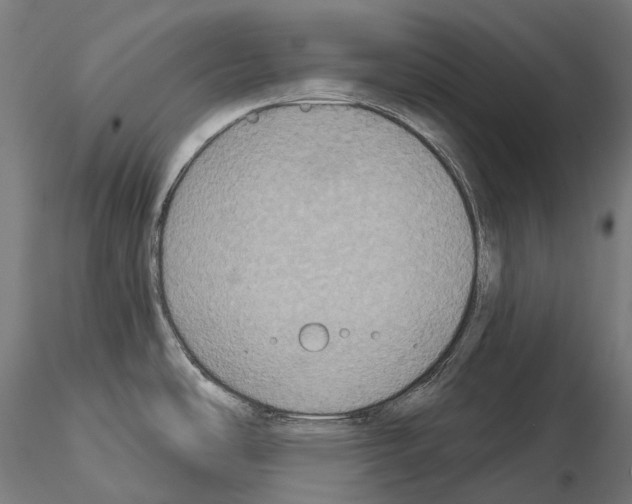 X0000115091486200912081223
