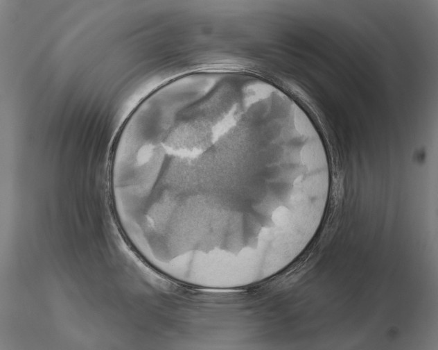 X0000115091487200912081223