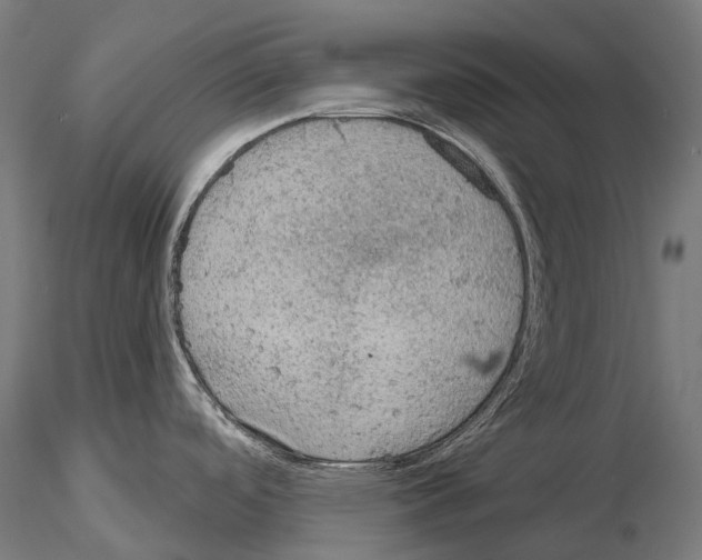 X0000115091488200912081223
