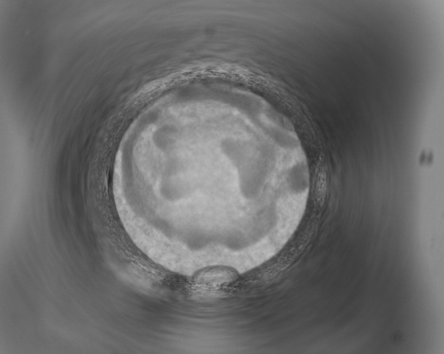 X0000115091489200912081222