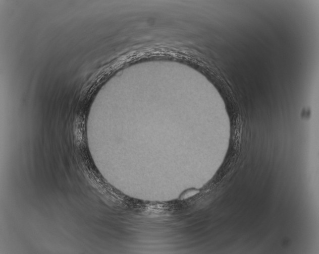 X0000115091490200912081222