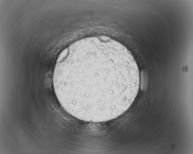 X0000115091491200912081222