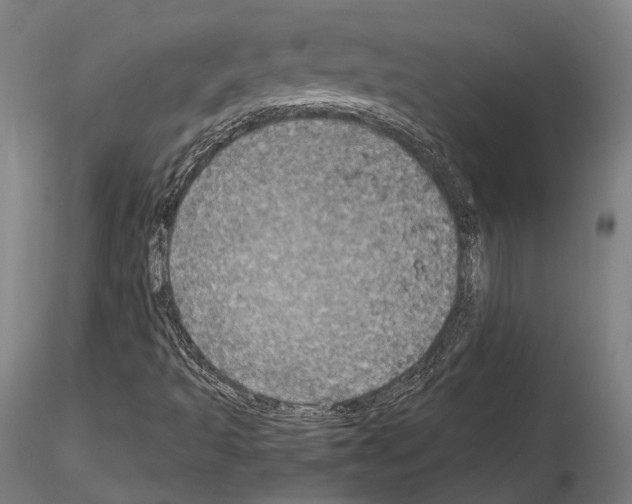 X0000115091493200912081222