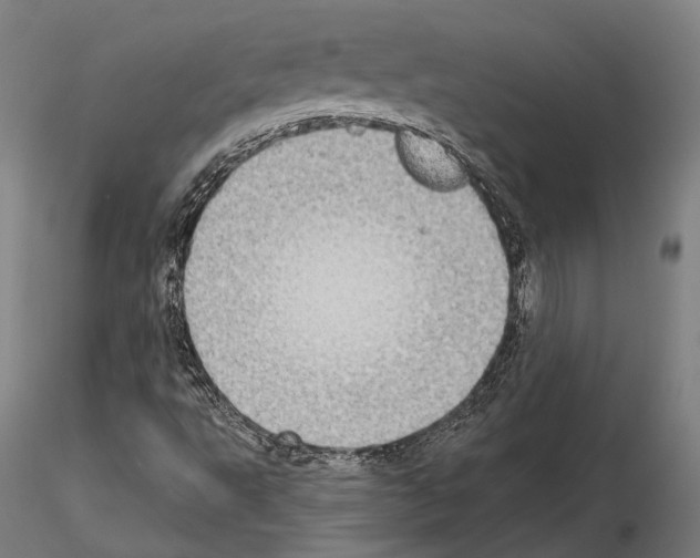 X0000115091495200912081222