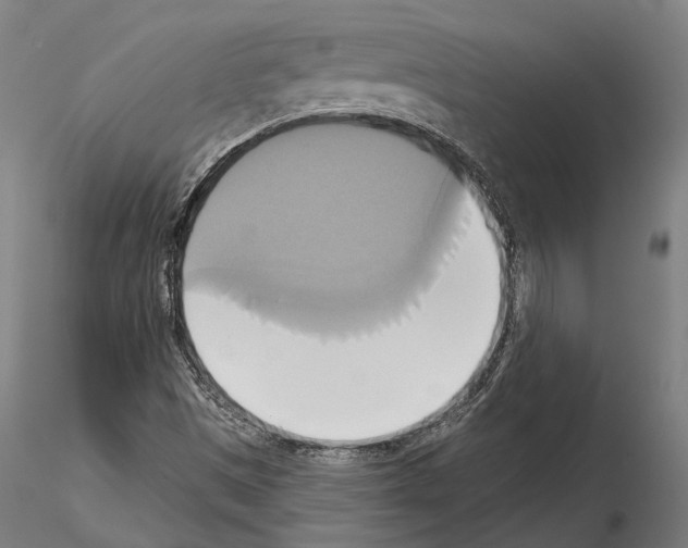 X0000115091497200912081222
