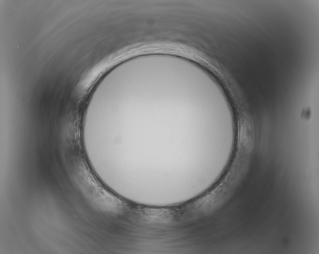 X0000115091498200912081222