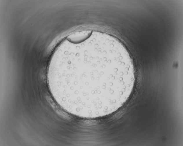 X0000115091499200912081222