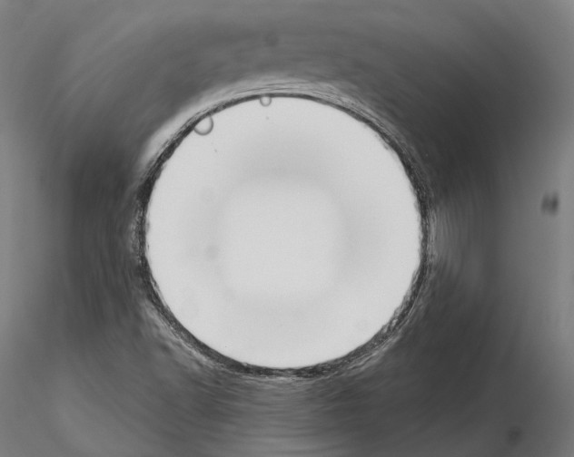 X0000115091502200912081222
