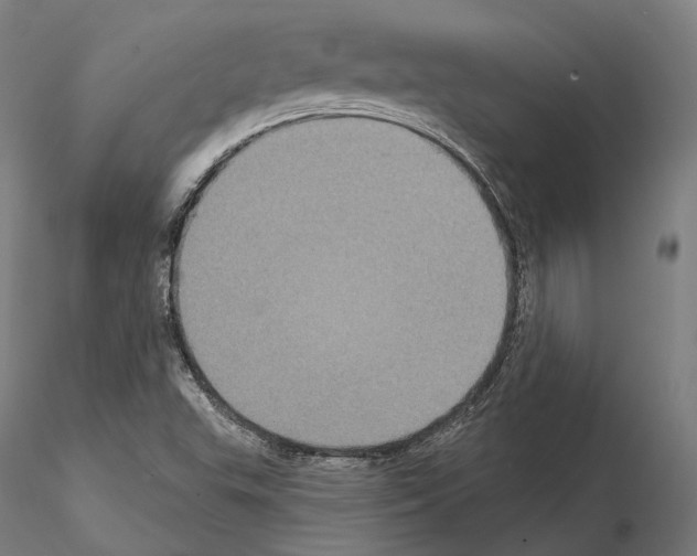 X0000115091503200912081222