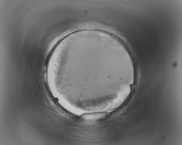 X0000115091509200912081222