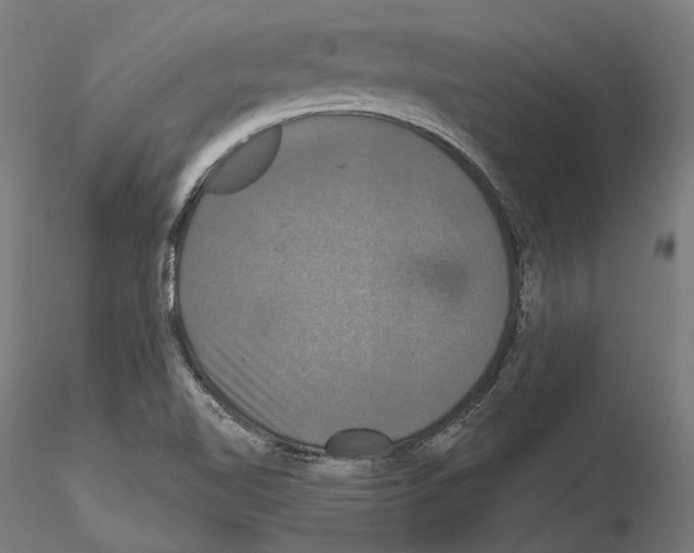 X0000115091510200912081222