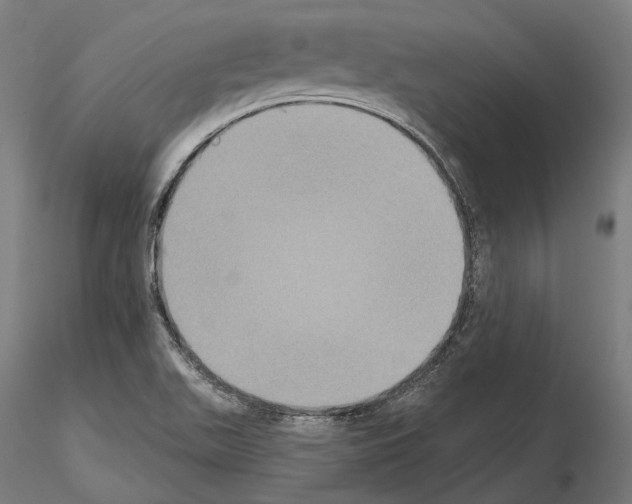 X0000115091511200912081222
