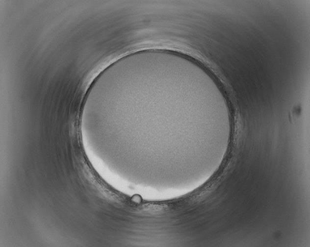X0000115091513200912081222