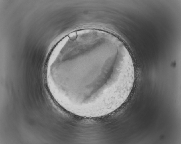 X0000115091517200912081222