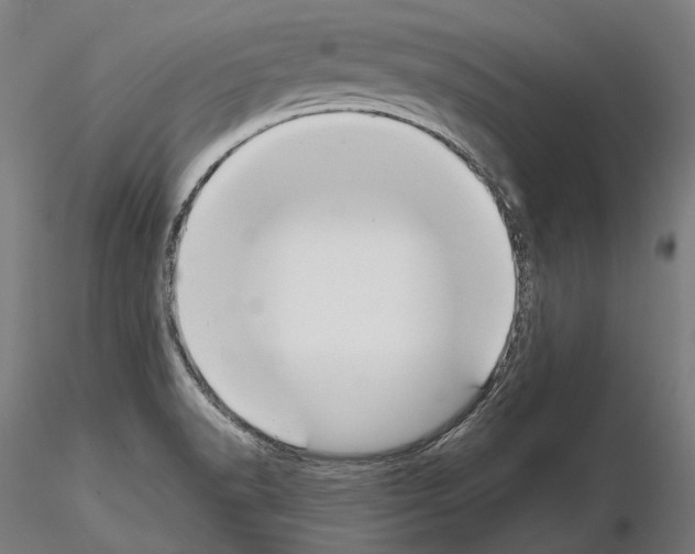X0000115091518200912081222