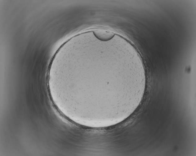 X0000115091519200912081223