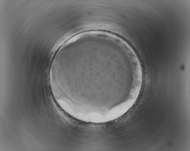 X0000115091521200912081223