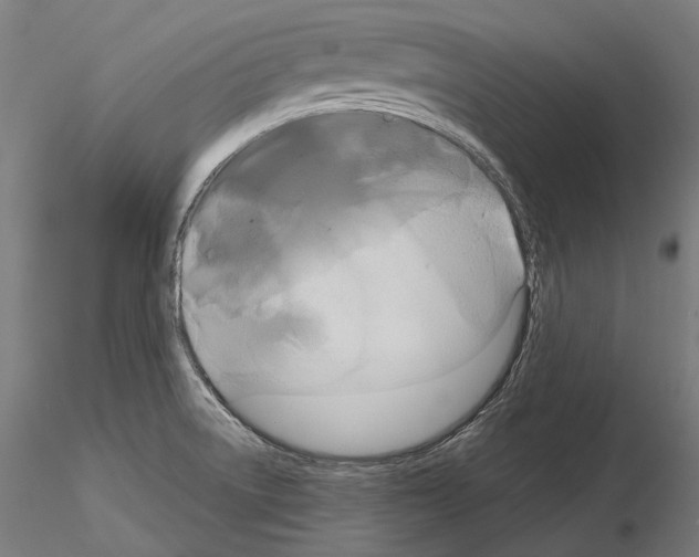 X0000115091522200912081223