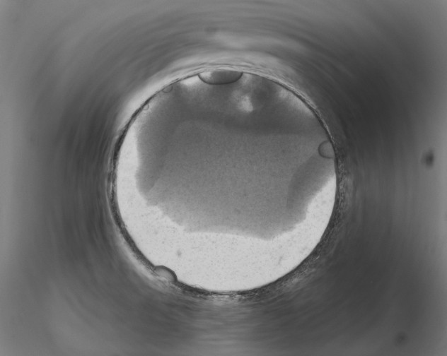 X0000115091523200912081223