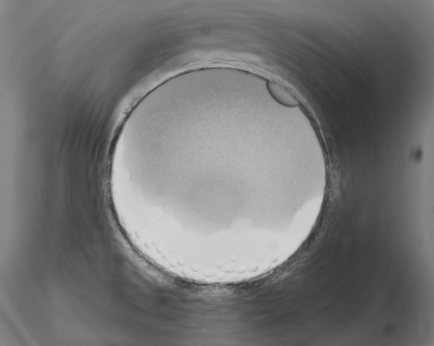 X0000115091525200912081223