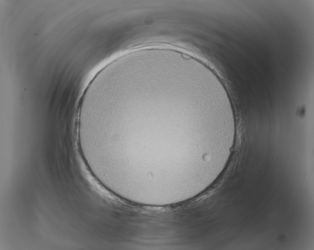 X0000115091526200912081223
