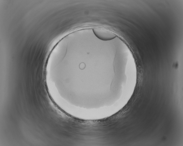 X0000115091527200912081223