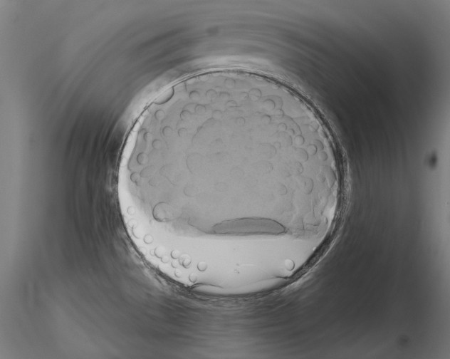 X0000115091529200912081223