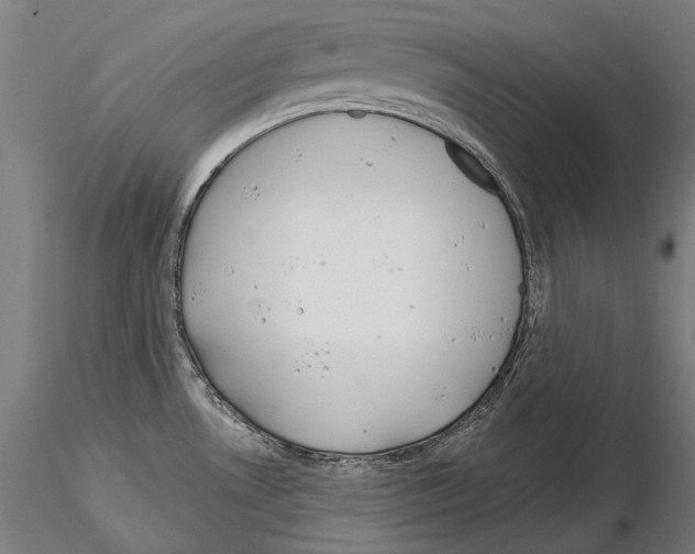 X0000115091530200912081223