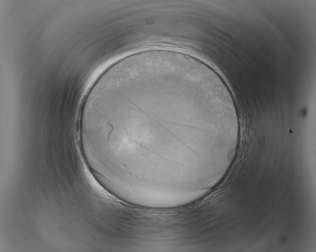 X0000115091531200912081223