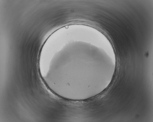 X0000115091533200912081223