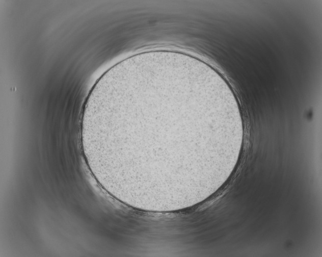 X0000115091534200912081223